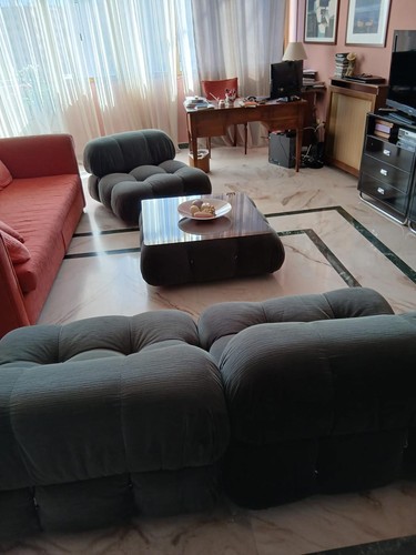 Poltrone vintage camaleonda - vintage,